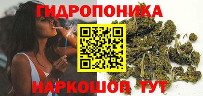 хмурый Кандалакша