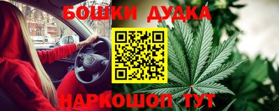 крисы Кингисепп