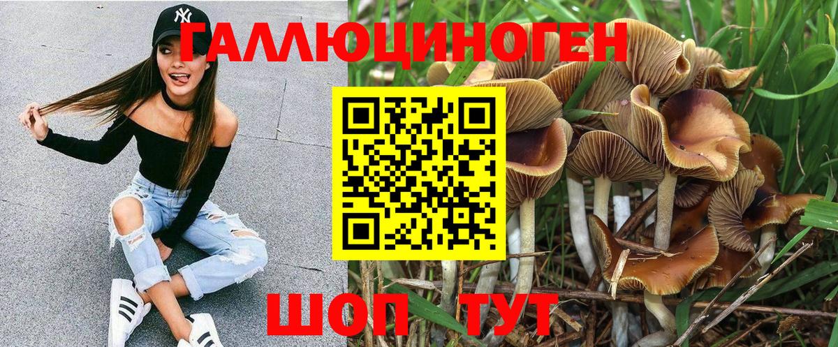 Галлюциногенные грибы Cubensis  Вход с VPN  Нарткала 