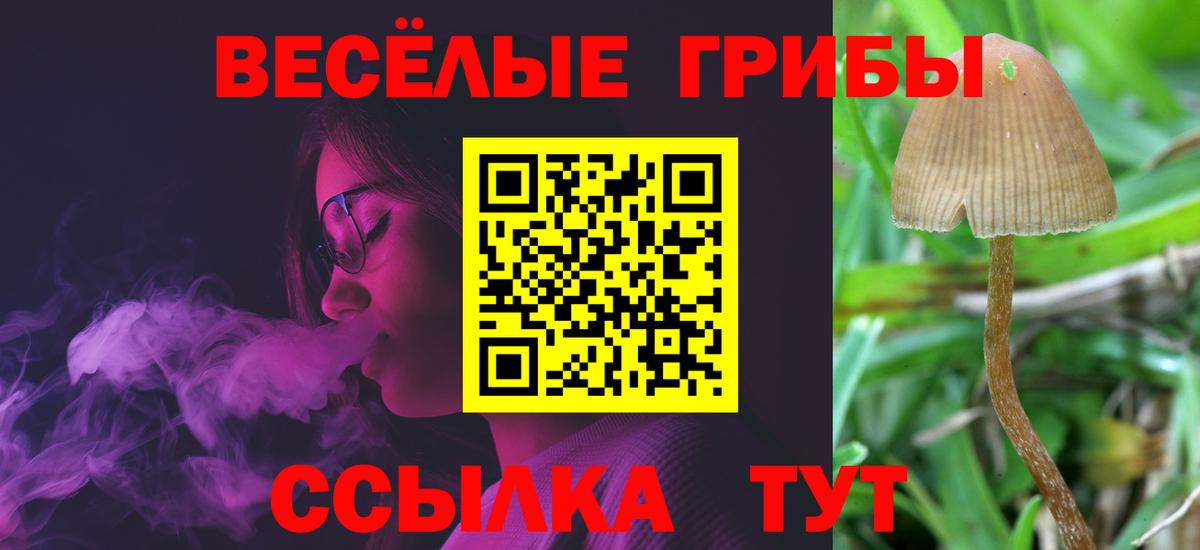 Меф мяу мяу Нарткала